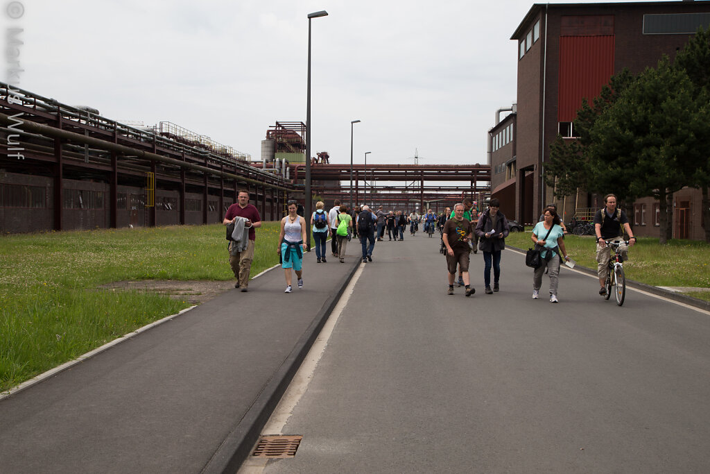 Lebendige Industrieruine