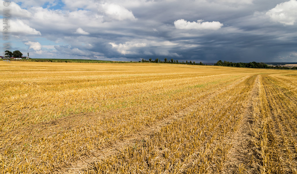 Wetter in der Eifel