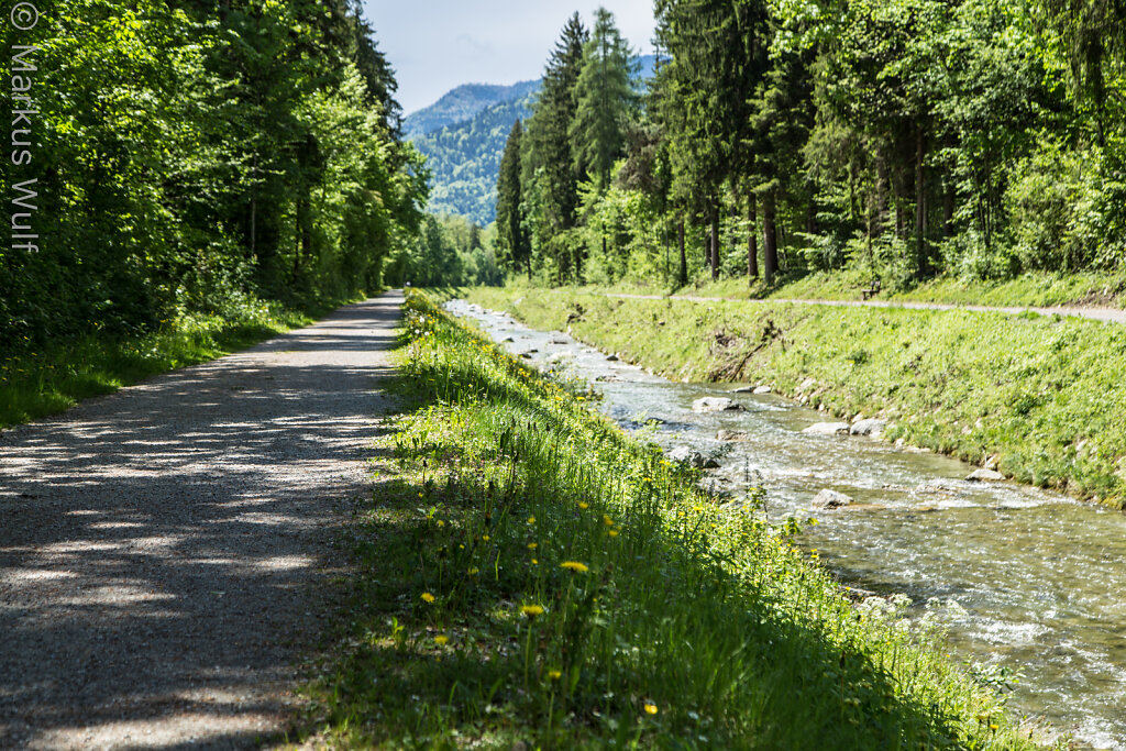 Der Jennbach in Ebbs