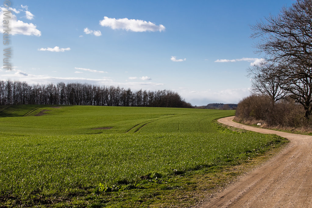 Landschaft