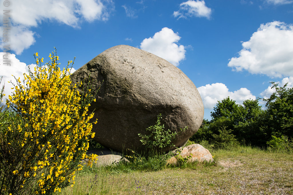 The Rock