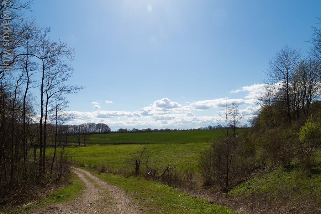 Frühlingslandschaft