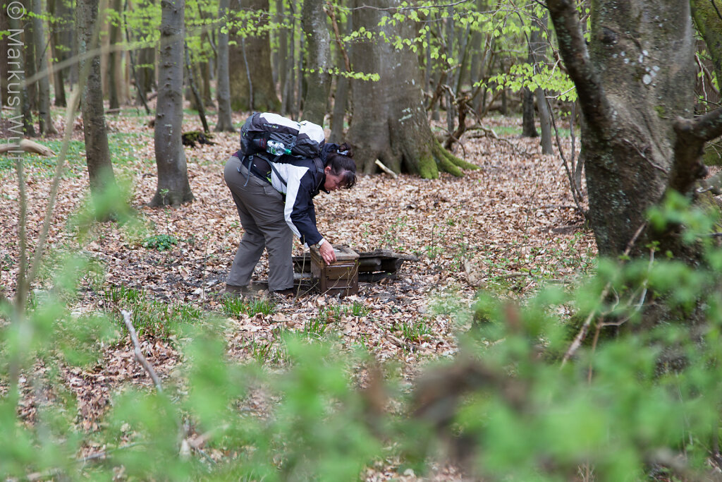 Mun im Wald