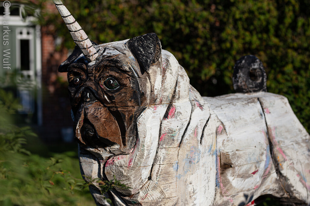 Einhornhund